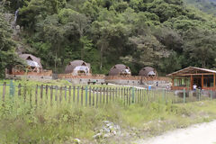 일반 보기